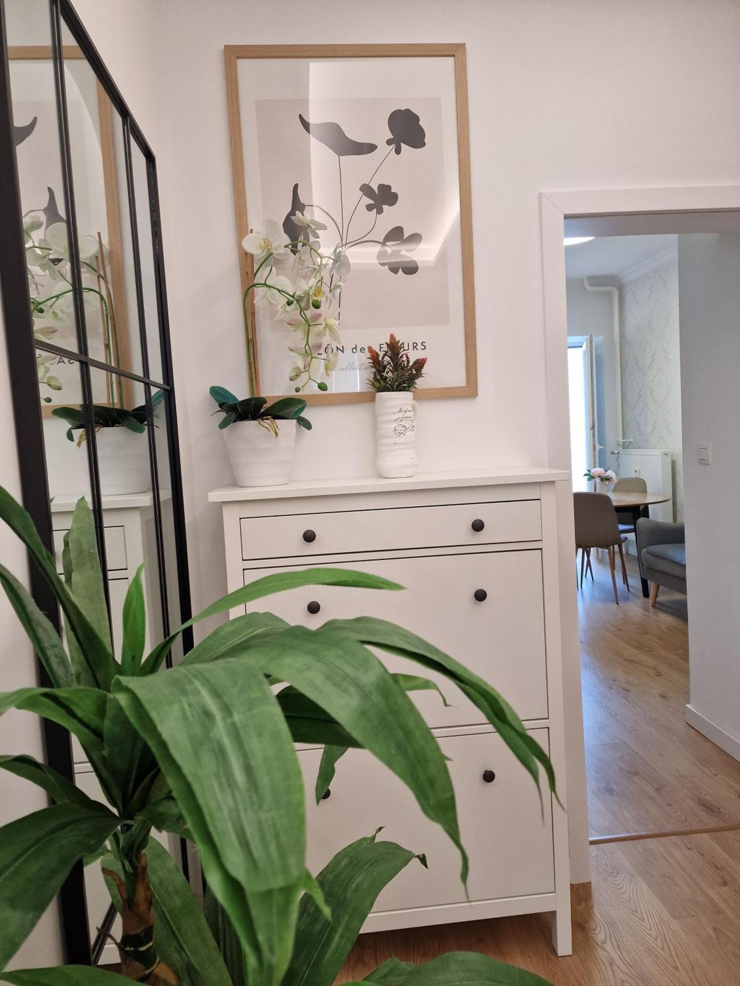 Old Town Apartment - 2 Bedrooms ブラチスラヴァ エクステリア 写真