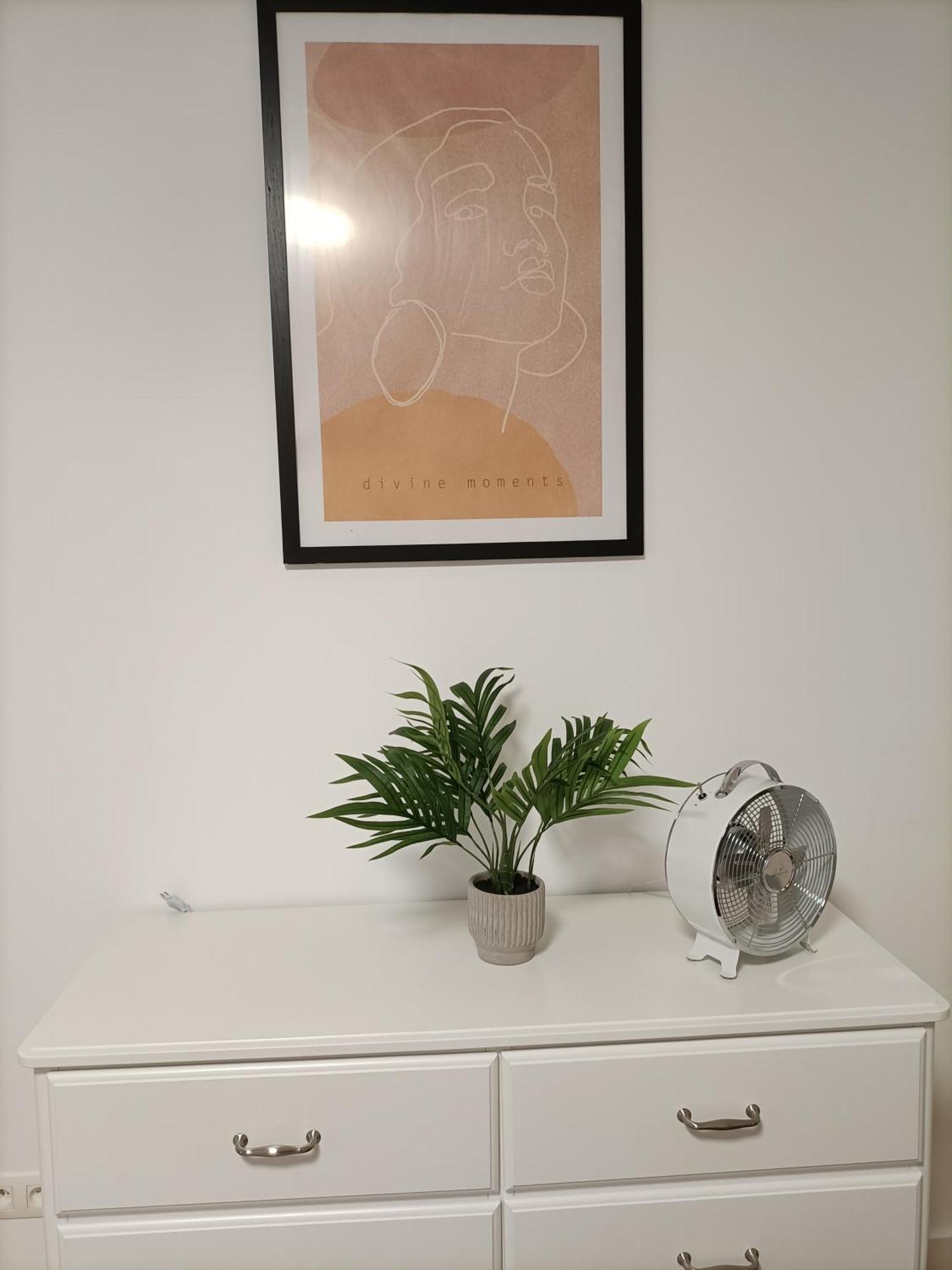 Old Town Apartment - 2 Bedrooms ブラチスラヴァ エクステリア 写真